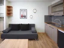 Pronájem bytu 1+kk, Úněšov, 20 m2