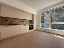 Pronájem bytu 2+kk, České Budějovice, Hálkova, 36 m2
