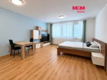 Prodej bytu 1+kk, Karlovy Vary - Drahovice, Mattoniho nábřeží, 45 m2