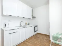 Pronájem bytu 2+1, Mělník, Studentská, 54 m2