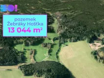 Prodej pole, Hošťka - Žebráky, 13044 m2