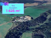 Prodej lesa, Svojšín, 1625 m2