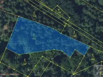 Prodej lesa, Paseky nad Jizerou, 2272 m2