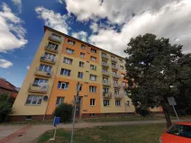 Prodej bytu 2+1, Praha - Žižkov, Pod lipami, 48 m2