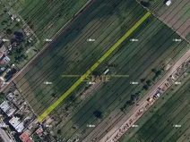 Prodej zahrady, Přísnotice, 1058 m2