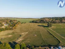 Prodej zemědělského objektu, Stříbro - Lhota u Stříbra, 200 m2