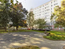 Prodej bytu 2+1, Pardubice - Polabiny, Mladých, 39 m2