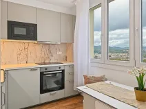 Prodej bytu 1+1, Ústí nad Labem - Střekov, Nová, 42 m2