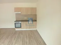 Pronájem bytu 1+kk, Plzeň, Rejskova, 45 m2