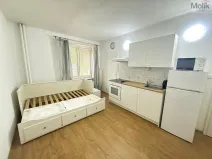 Pronájem bytu 1+kk, Most, Slovenského národního povstání, 22 m2