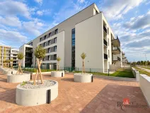 Pronájem bytu 2+kk, Plzeň - Jižní Předměstí, Železná, 56 m2