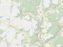Dražba lesa, Bělá nad Svitavou, 2084 m2