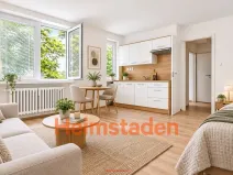 Pronájem bytu 1+kk, Albrechtice, Hornická, 25 m2