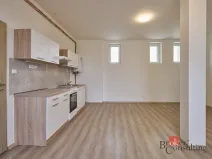 Pronájem bytu 1+kk, Mlékojedy, 43 m2