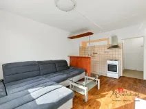 Prodej bytu 1+1, Plzeň - Severní Předměstí, Brněnská, 48 m2