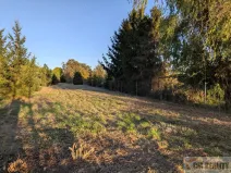 Prodej pozemku pro bydlení, Olomouc - Nové Sady, Andělská, 1434 m2