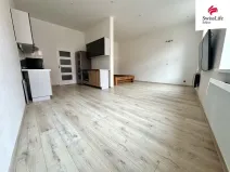 Pronájem bytu 1+1, Chomutov, Klostermannova, 41 m2