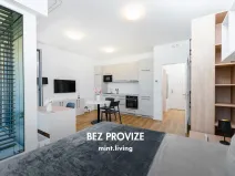 Pronájem bytu 1+kk, Praha - Vysočany, Odkolkova, 38 m2
