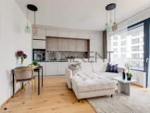 Pronájem bytu 2+kk, Praha - Nusle, Závišova, 45 m2