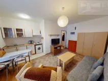 Pronájem bytu 1+kk, Příbram, S. K. Neumanna, 21 m2