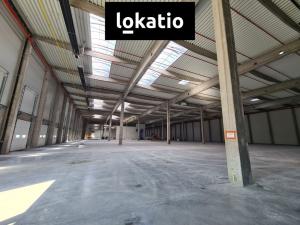 Pronájem skladu, Cheb, 11000 m2