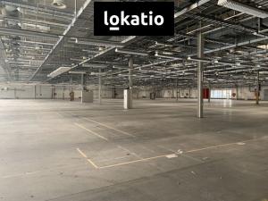 Pronájem skladu, Plzeň, 10300 m2