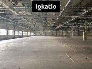 Pronájem skladu, Plzeň, 10300 m2