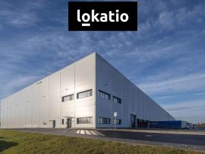Pronájem skladu, Ostrava, 17651 m2