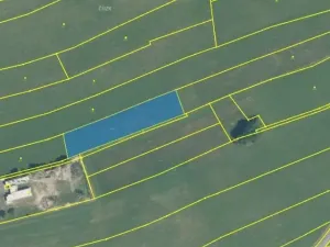 Prodej zemědělské půdy, Nový Jičín - Straník, 4966 m2