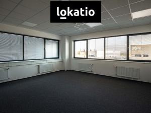 Pronájem skladu, Ostrava - Vítkovice, 29524 m2