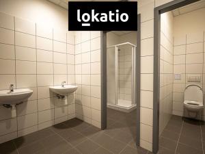 Pronájem skladu, Ostrava - Vítkovice, 29524 m2