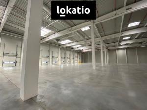 Pronájem skladu, Ostrava - Vítkovice, 2900 m2