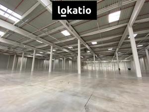 Pronájem skladu, Ostrava - Vítkovice, 2900 m2