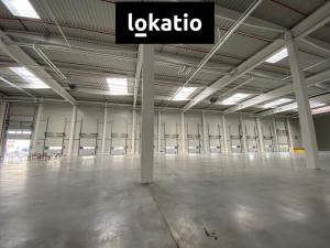 Pronájem skladu, Ostrava - Vítkovice, 2900 m2