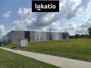 Pronájem skladu, České Budějovice, Okružní, 4100 m2