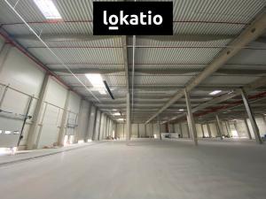 Pronájem skladu, Olomouc, 8500 m2