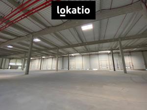 Pronájem skladu, Olomouc, 3502 m2