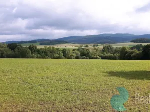 Prodej komerčního pozemku, Kájov, 42414 m2