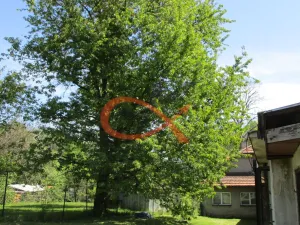 Prodej restaurace, Mikulůvka, 600 m2