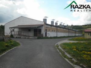 Prodej zemědělského objektu, Přimda - Velké Dvorce, Velké Dvorce, 5633 m2