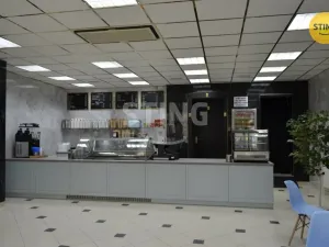 Prodej kanceláře, Kyjov, třída Komenského, 290 m2