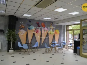 Prodej kanceláře, Kyjov, třída Komenského, 290 m2