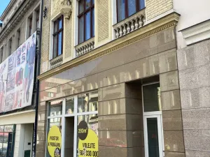 Pronájem obchodního prostoru, Teplice, Masarykova třída, 293 m2