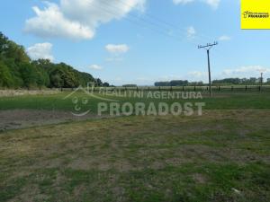 Prodej zemědělské usedlosti, Břest, 300 m2