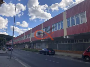Pronájem komerční nemovitosti, Kraslice, Dukelská, 1000 m2
