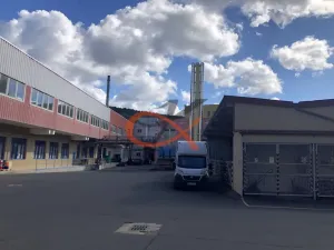 Pronájem komerční nemovitosti, Kraslice, Dukelská, 1000 m2