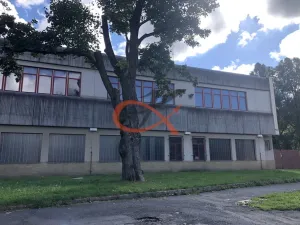 Pronájem výrobních prostor, Kraslice, Dukelská, 150 m2