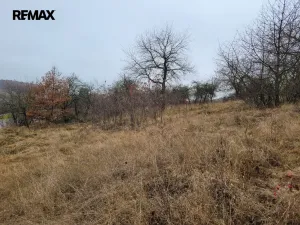 Prodej trvalého travního porostu, Třebsko, 6483 m2