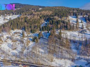 Prodej trvalého travního porostu, Pec pod Sněžkou, 7007 m2