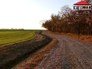 Prodej louky, Vranovice, 6440 m2